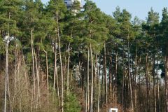 10e94a67-8430-4f70-8dfb-48cf9d9610ae-scaled